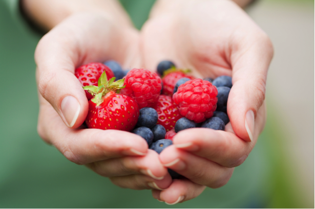 foods to help boost your studying power, Brain-Boosting Diet, Foods That Improve Memory, Concentration & More!, study abroad student diet tips, eating in Italy, study abroad in Rome, Mediterranean cuisine benifits