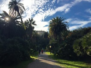 ara pacis, rome, Hidden Gems of Rome, jcu classic studies major, discovering rome, study abroad in rome, orto botanico