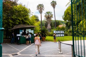 Orto Botanico, Botanical gardens of Rome, Trastevere, study abroad, What to see in Rome