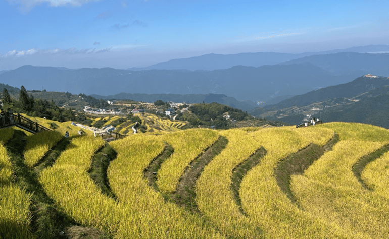 mink goodwin blog - 5