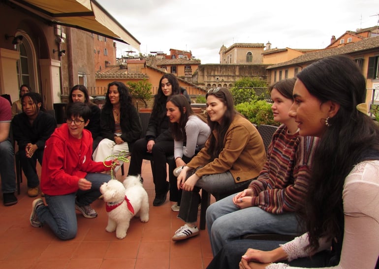 pet therapy